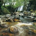 Naturaleza en panorámico